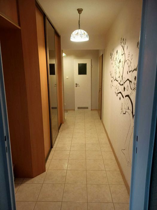 Mieszkanie 2 pokojowe 54m2 osiedle Witosa