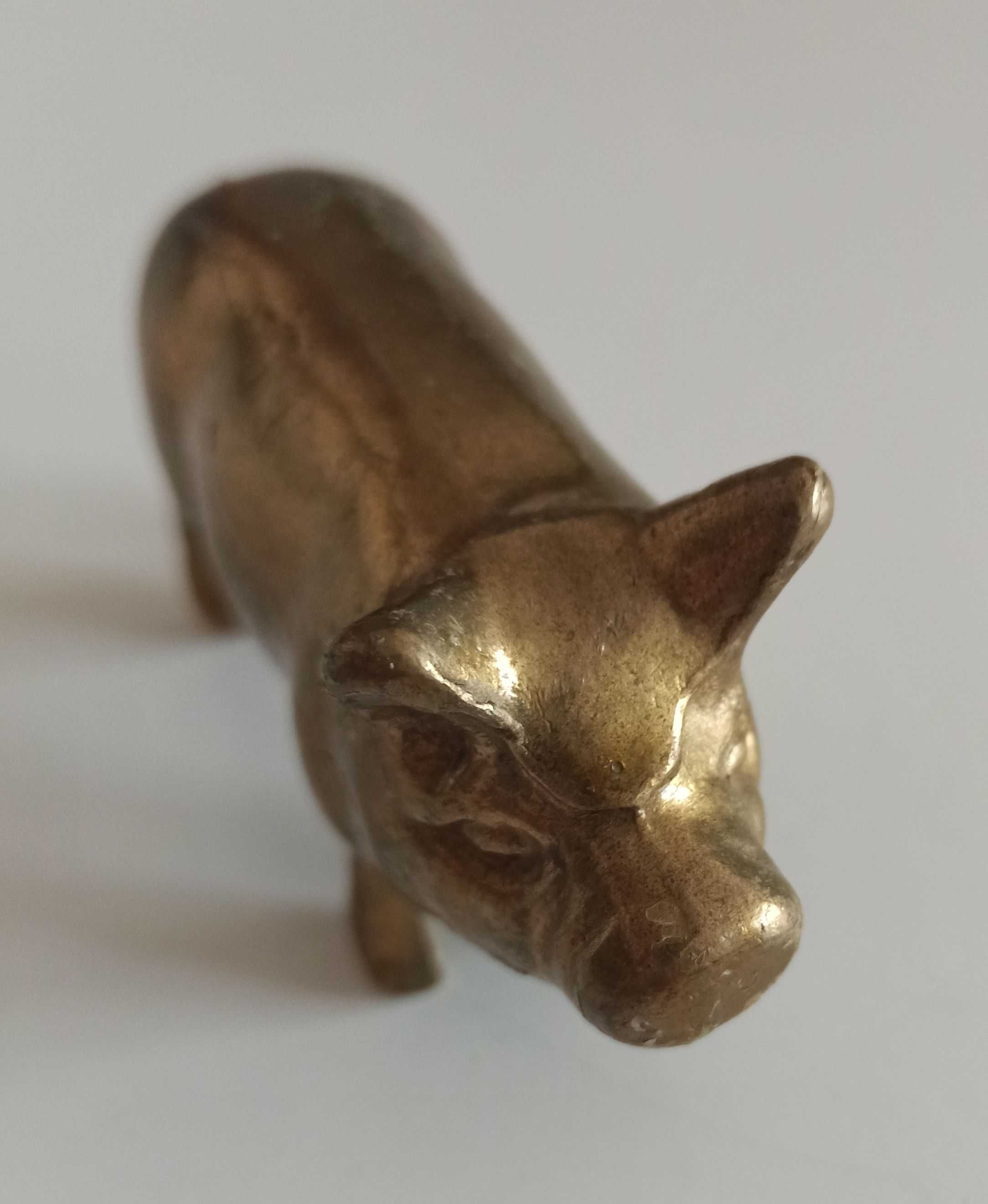 świnia świnka – stara figurka z mosiądzu 8,3 cm