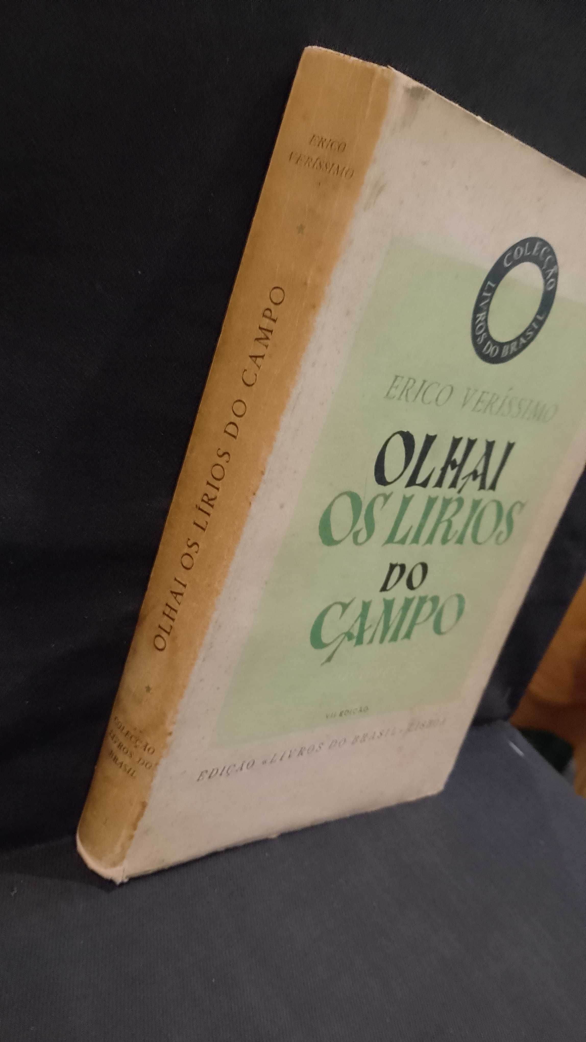 Olhai os Lírios do Campo - Erico Veríssimo