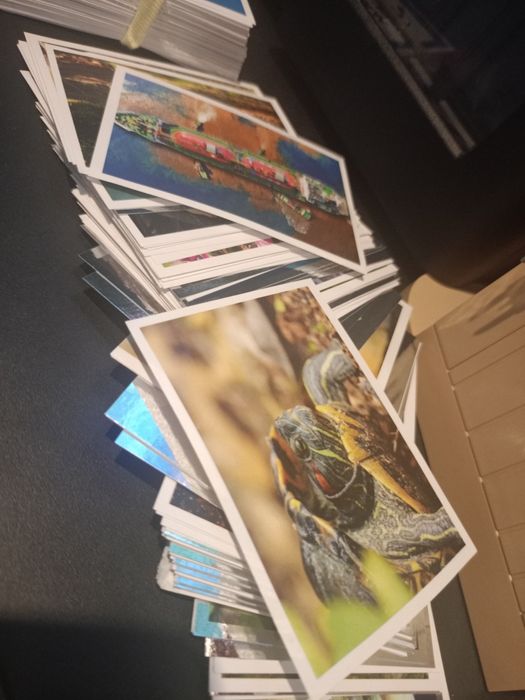 Album Zwierzęta Chronione WWF same naklejki