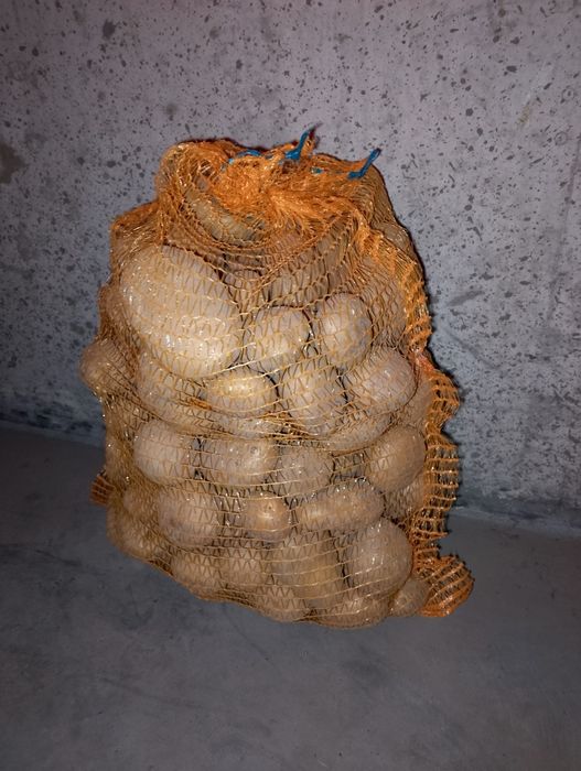 Ziemniaki Ignacy /irga