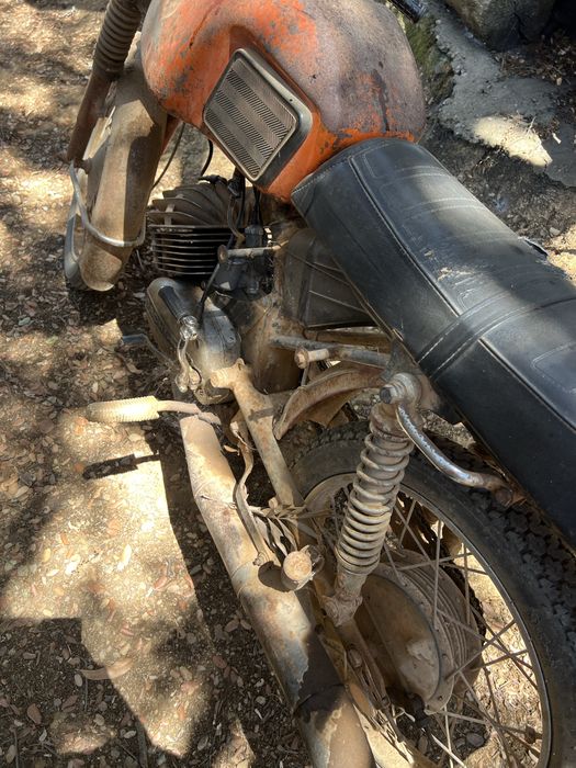 Sis Sachs Pronta a andar