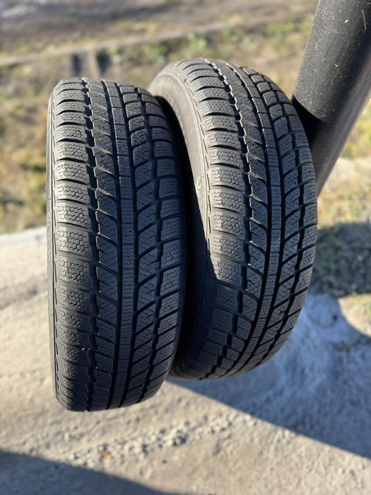 Зимові шини Evergrin 195/70 R14