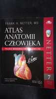 Atlas anatomii człowieka Netter