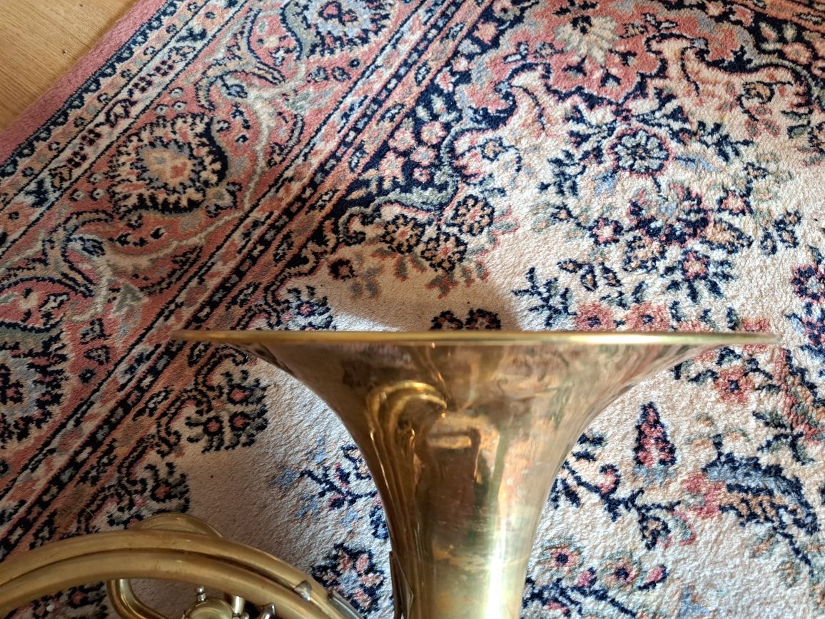 Waltornia Amati F/B