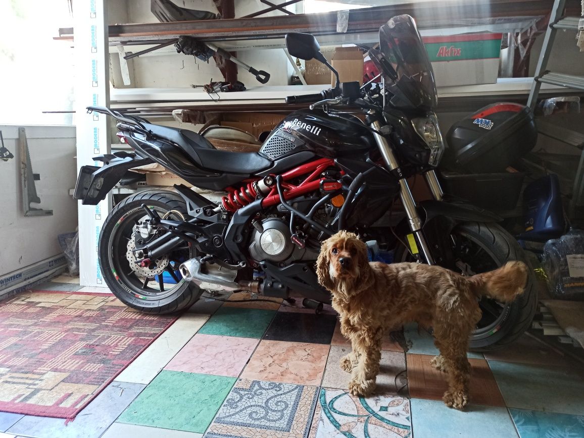 Benelli 300 302s бенелли