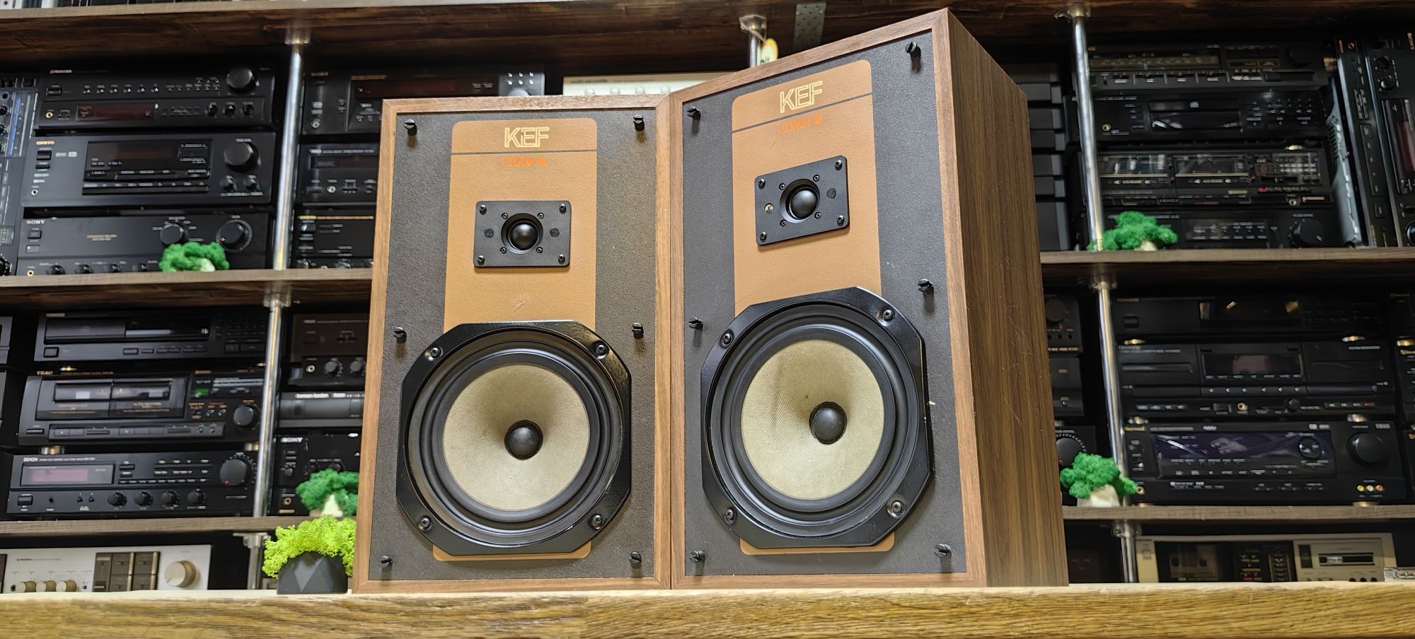 2-х полосна акустика KEF CODA 3
