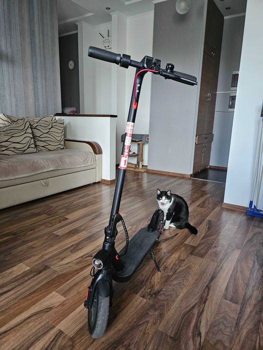 Электросамокат Crosser E9 Premium