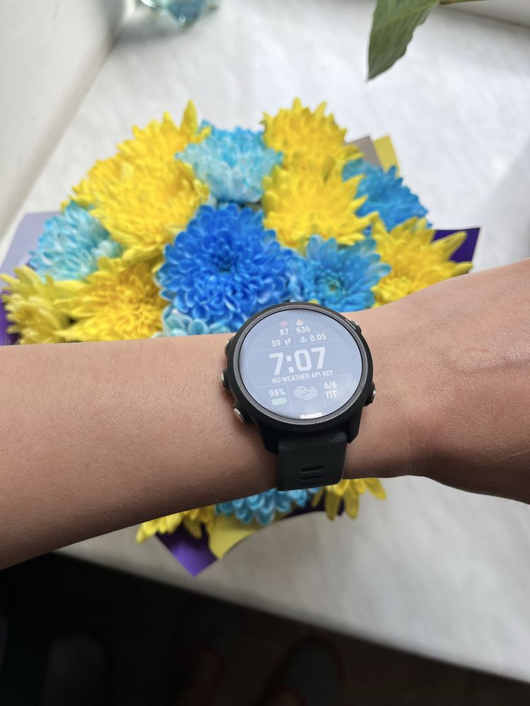 GARMIN forerunner 245 , Смарт годинник
