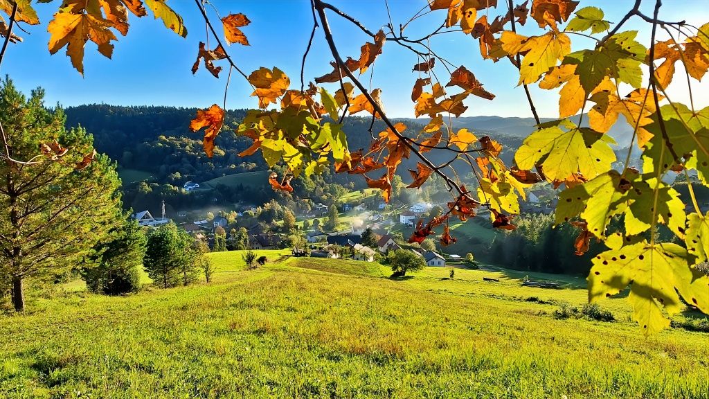 WOLNY DOMEK 2-5 os.Bieszczady Wołkowyja Jezioro Solińskie Solina