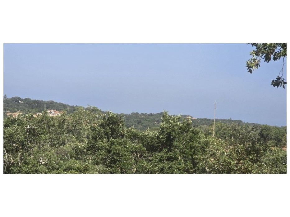 LOTEAMENTO (em projeto)