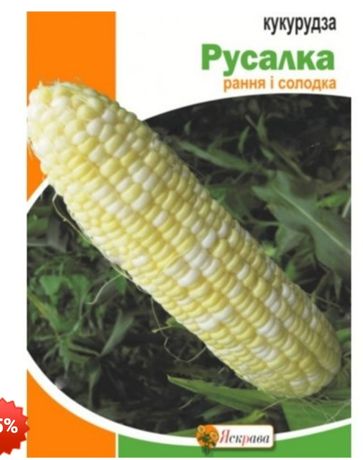 Кукурудза " Русалка" насіння/семена кукурузы