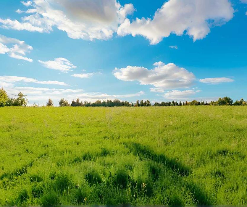 Saletrzak Salmag, Canwil, nawóz azotowy