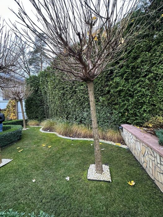 Будинок з ремонтом в центрі Ірпеня! Басейн, гараж, підвал!