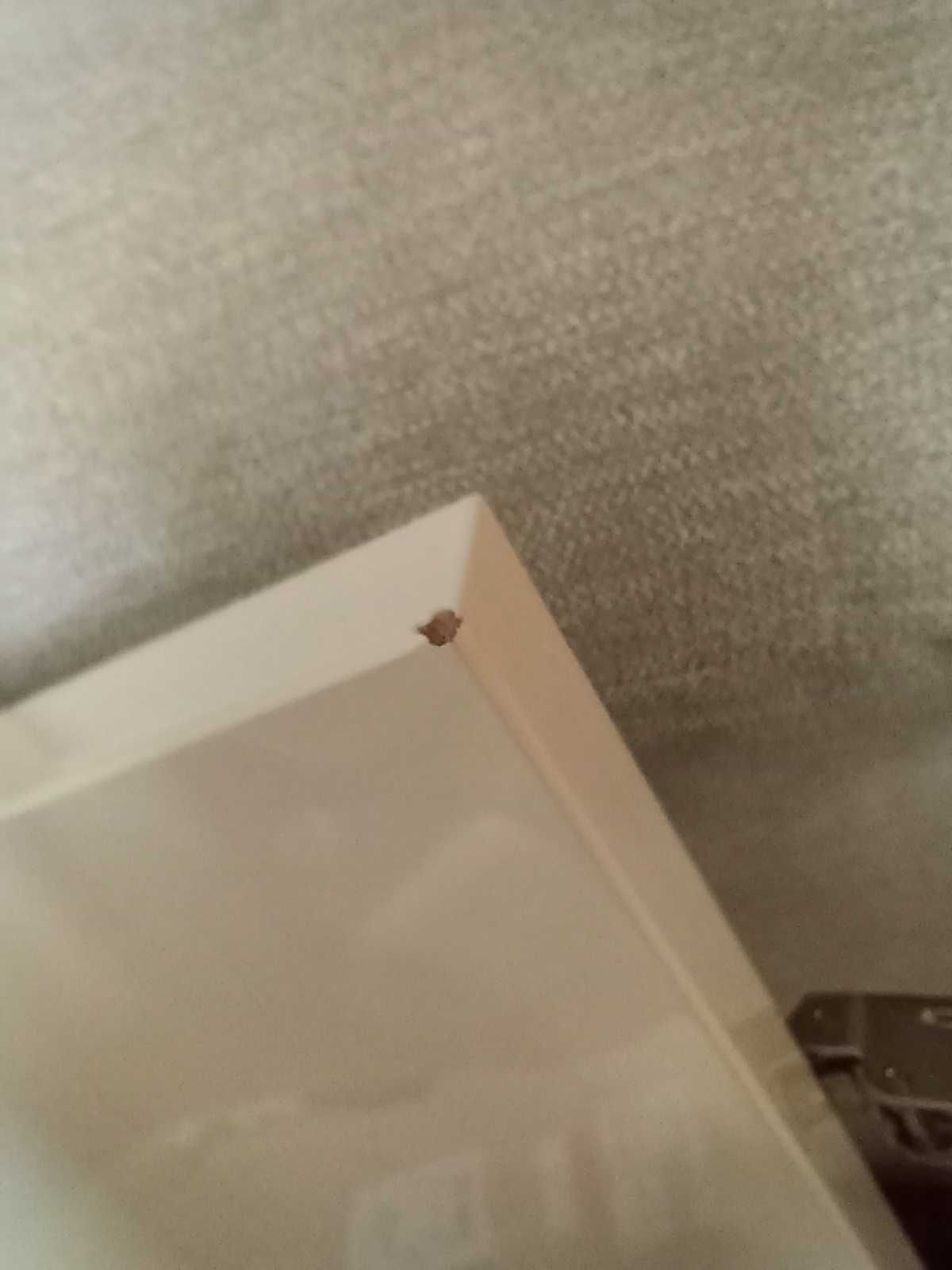 Szafka łazienkowa Cersanit moduo 40 cm