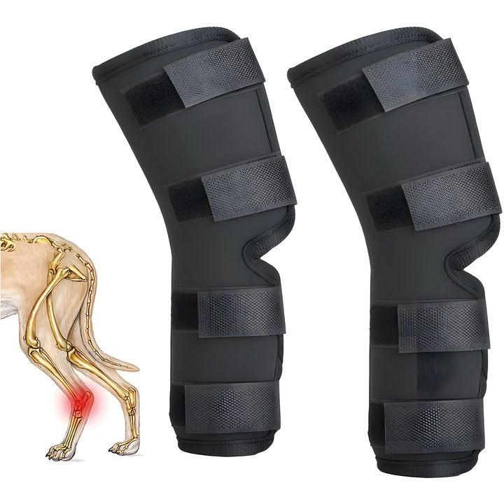 Orteza Dla Psa Stabilizator Stawu Skokowego Roz Xl