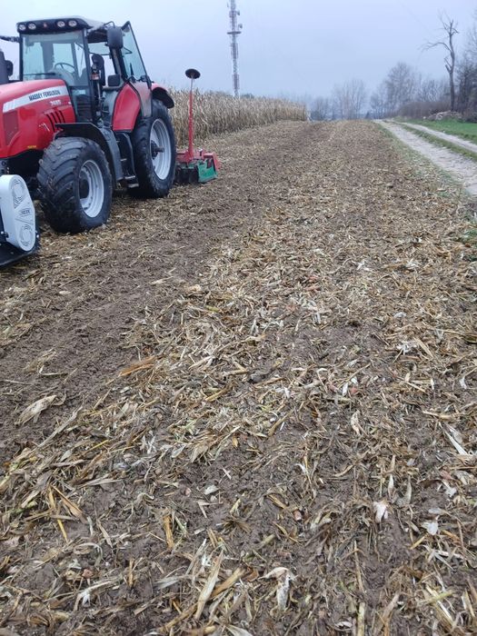 Usługa mulczowania(po kukurydzy poplonów i nie użytkownik)