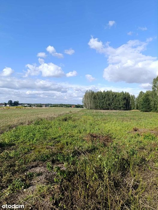 1,74 ha w Żerdzi – miejsce do życia i uprawy | Prywatny Las | Cisza