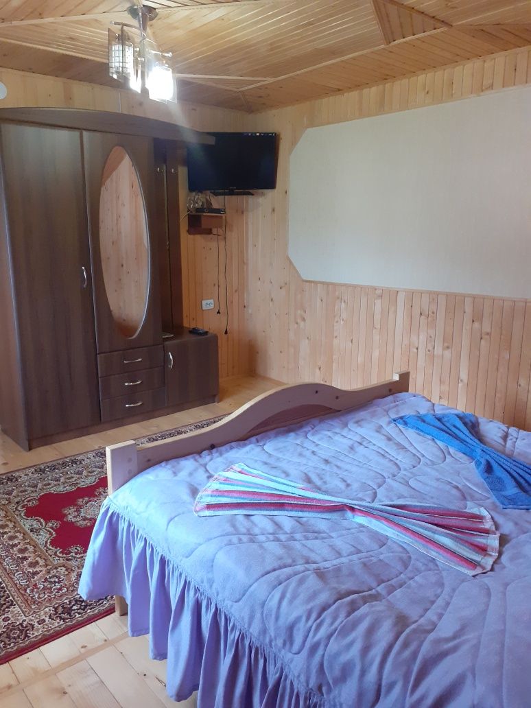 Оренда котеджу в Карпатах біля гір