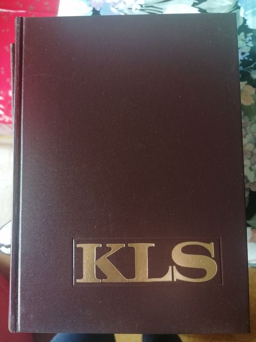 BAIXA-Dicionário enciclopédico Koogan Larousse Seleções