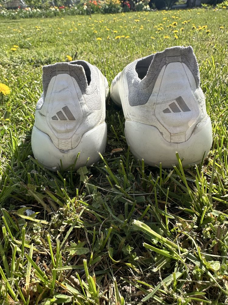 Predator 43 size