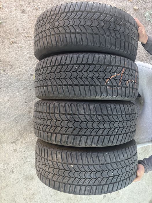 Opony zimowe Dębica 215/55R16