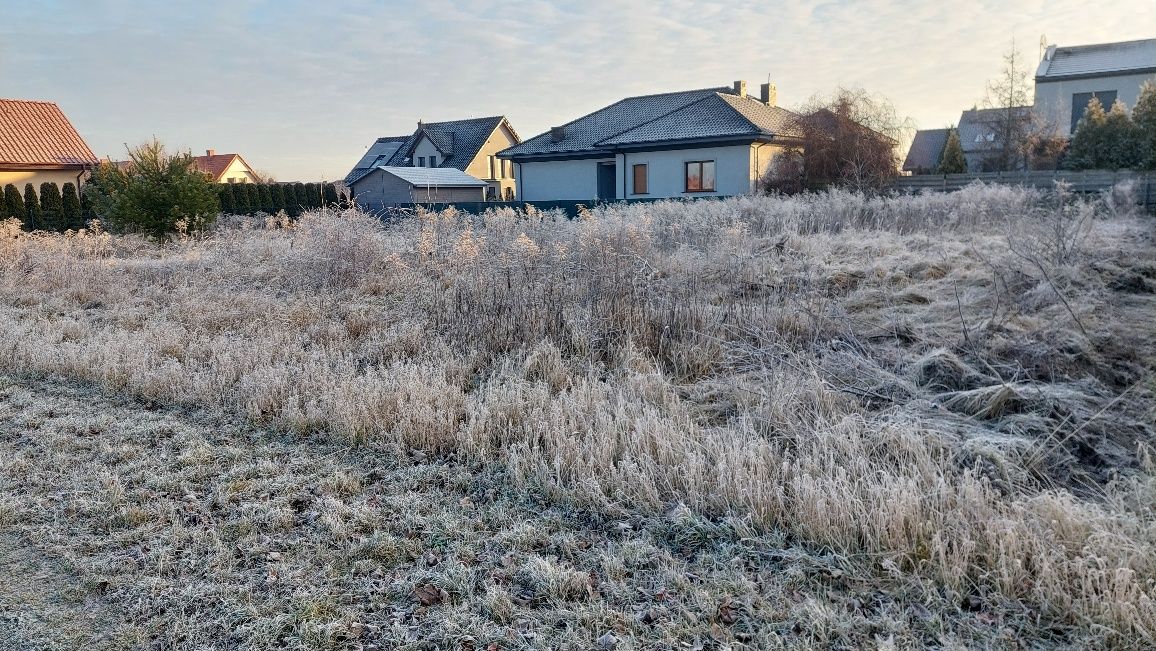 Wycinka drzew, Karczowanie, czyszczenie działek,
