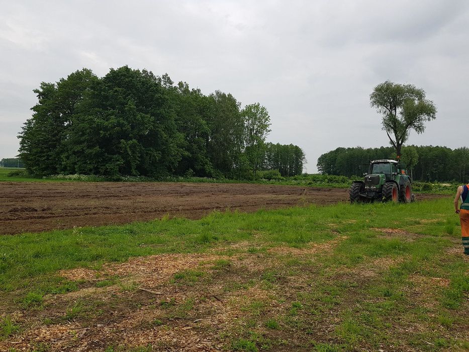 wycinka drzew, rębak,frezowanie,rekultywacja na 30cm