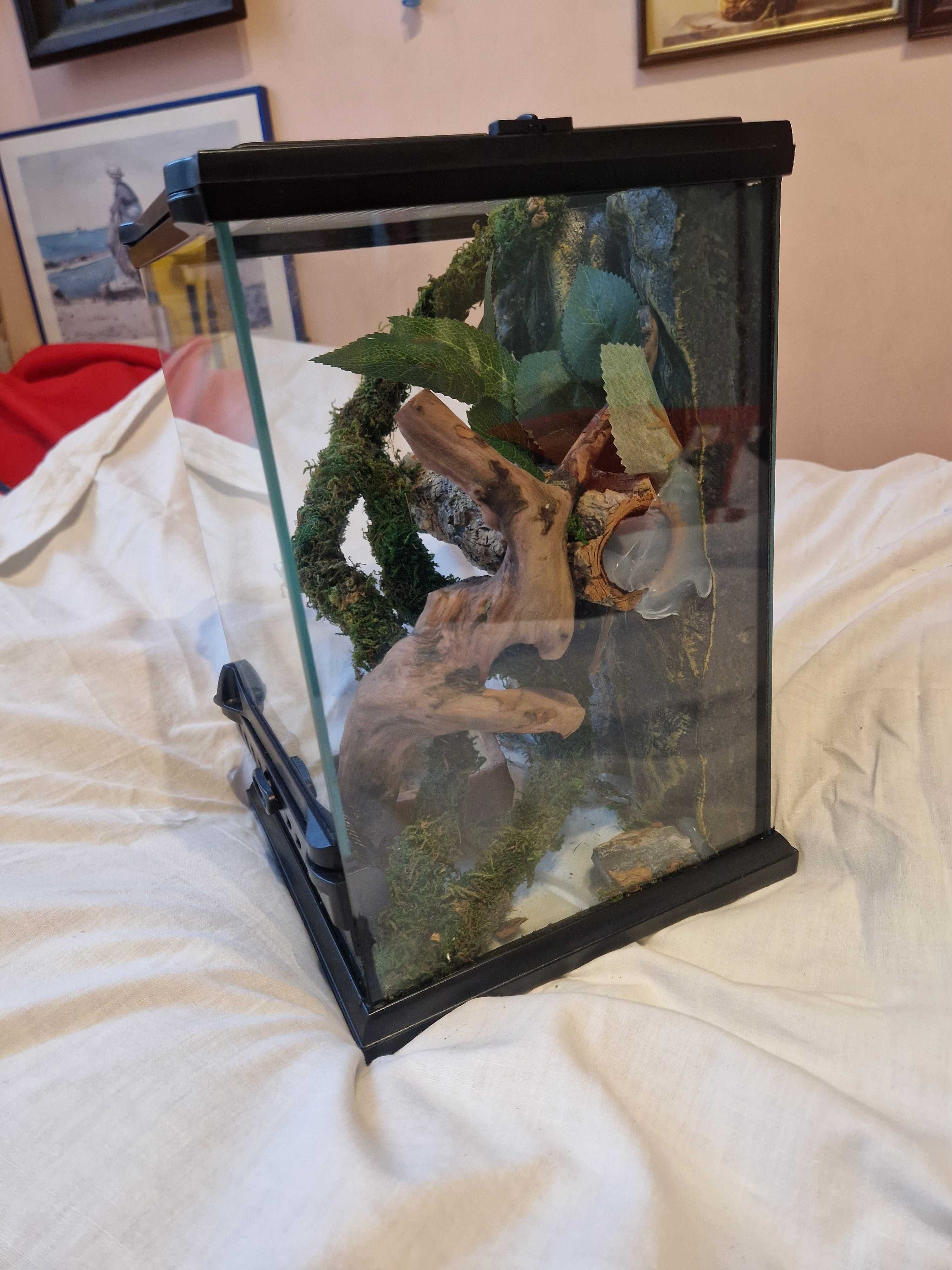 NOWE EXO-TERRA Terrarium szklane NANO TALL 20X20X30 cm