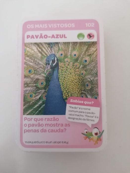 Cartas coleção super animais pingo doce