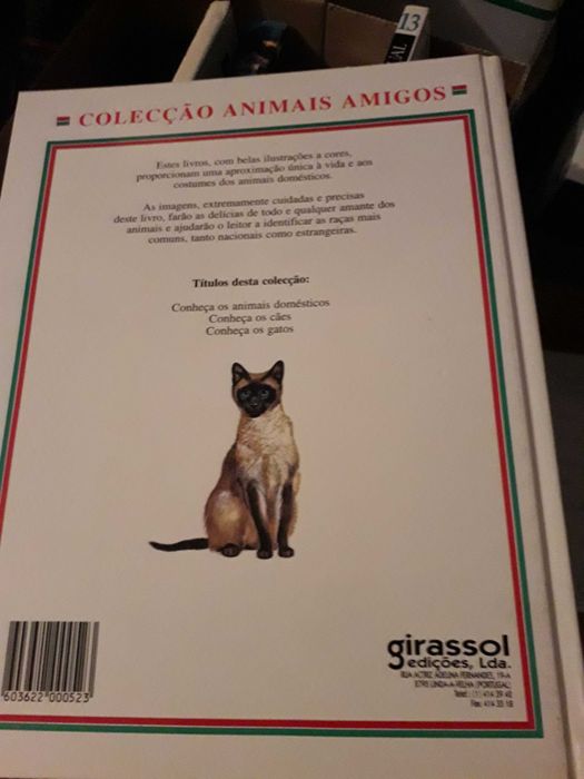 Conheça os Gatos - Animais amigos