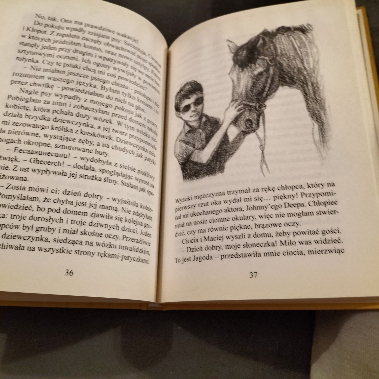 Agata Widzowska-Pasisk Koń na receptę