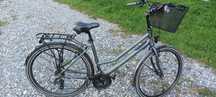 rower Kands damski
