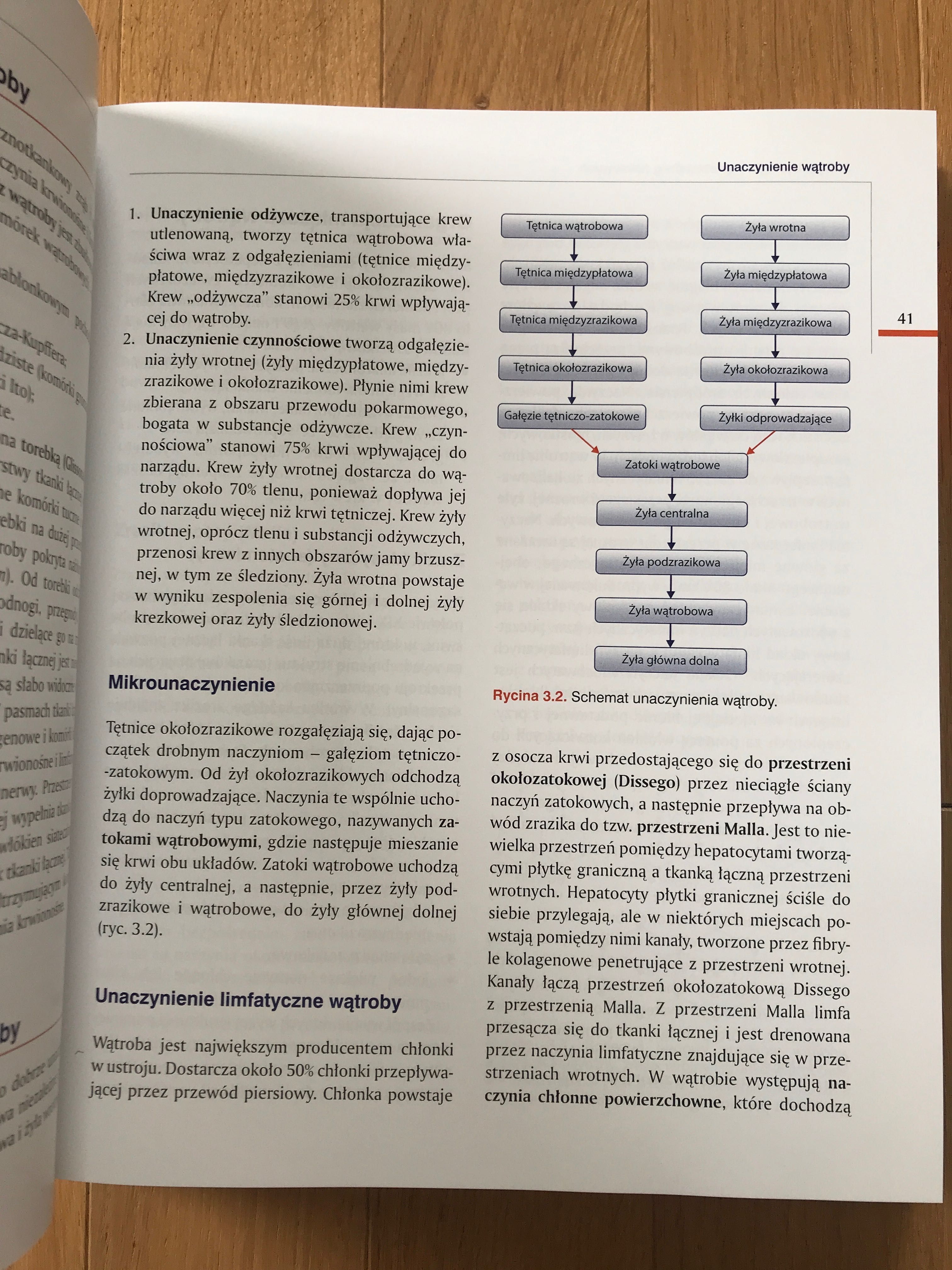 HEPATOLOGIA Tom 1 i 2 - Anatol Panasiuk