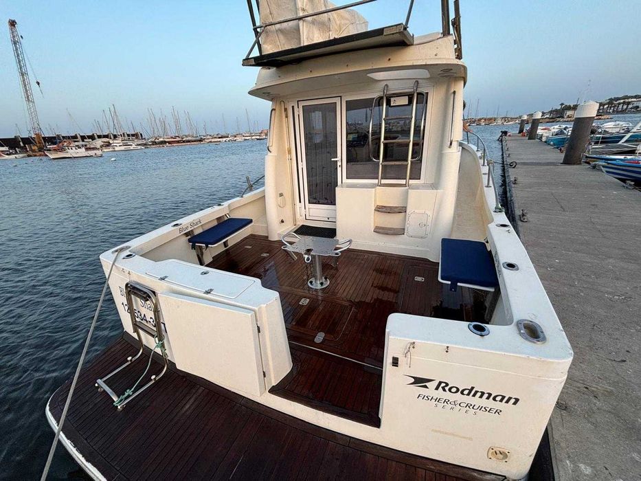 Barco Rodman 1170 IPS