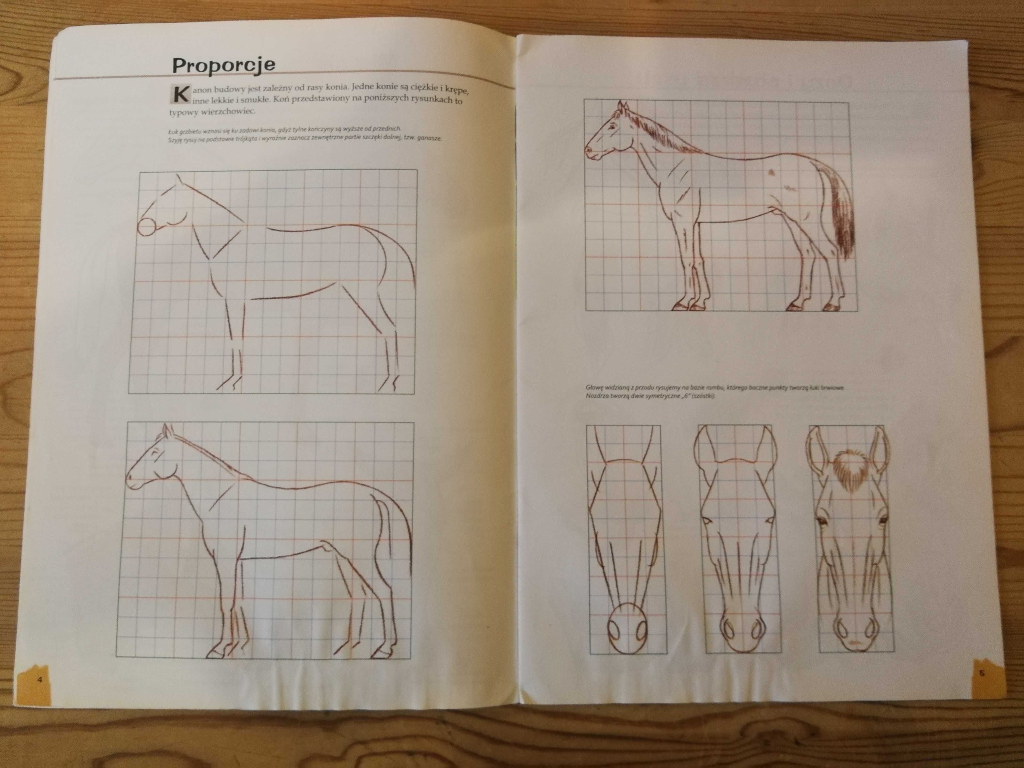 Lekcje rysowania konie Jean-Pierre Lamerand
