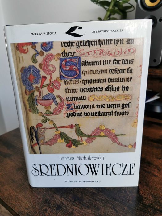 PWN Teresa Michałowska - Średniowiecze, twarda okładka z obwolutą