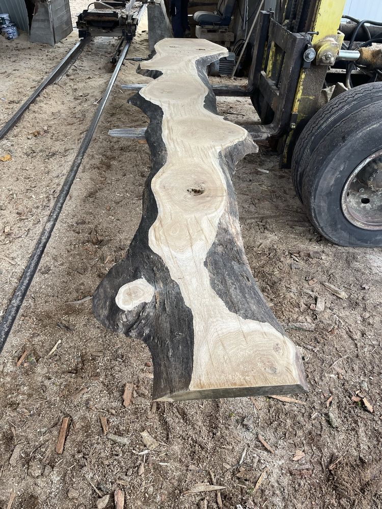 Lampa monolit dab oak live edge