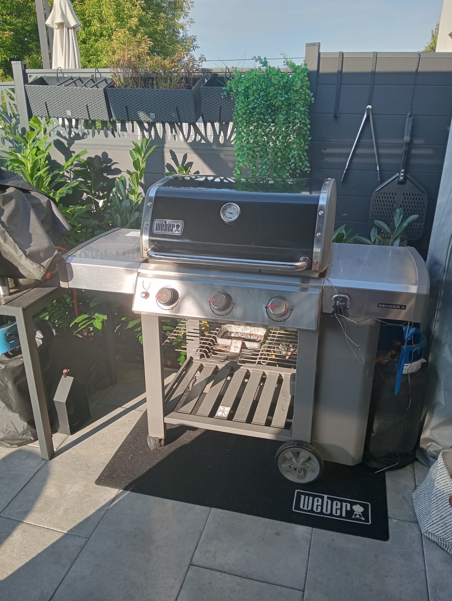 Grill Weber genesis II