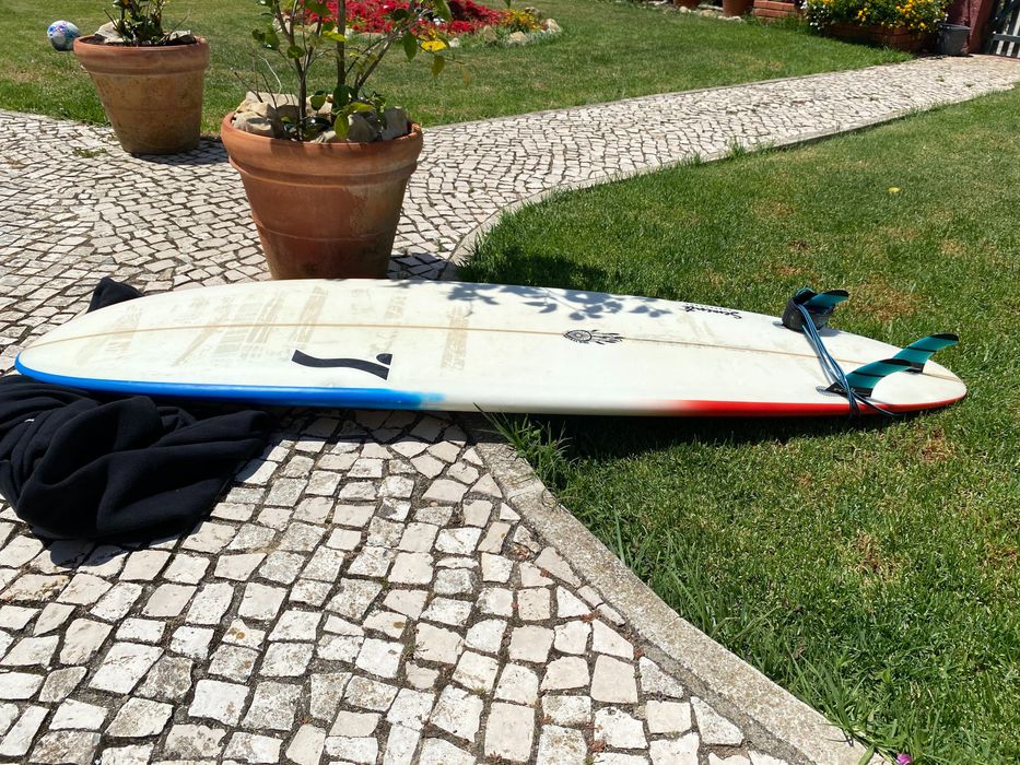 7.2 Great Egg board hand shaped SEMENTE