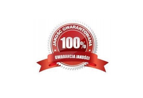 Zrębki Wędzarnicze Super Smoke ŚLIWA KL-10 (9-12mm) Large 5 Litrów