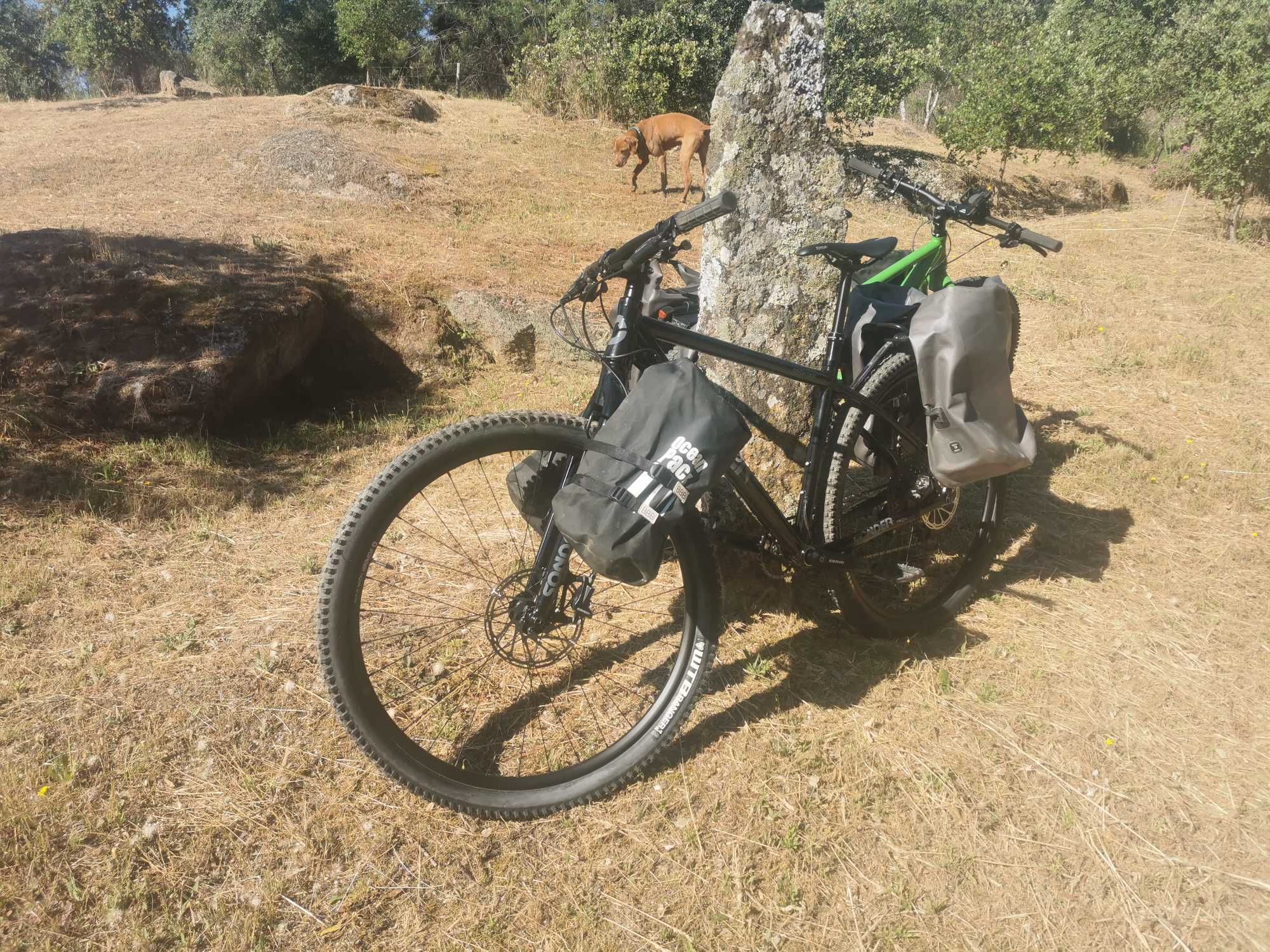 Travel mountain bikes for sale!