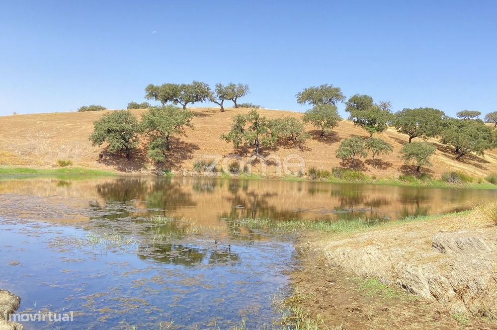 Herdade em Alentejo Beja Portugal
