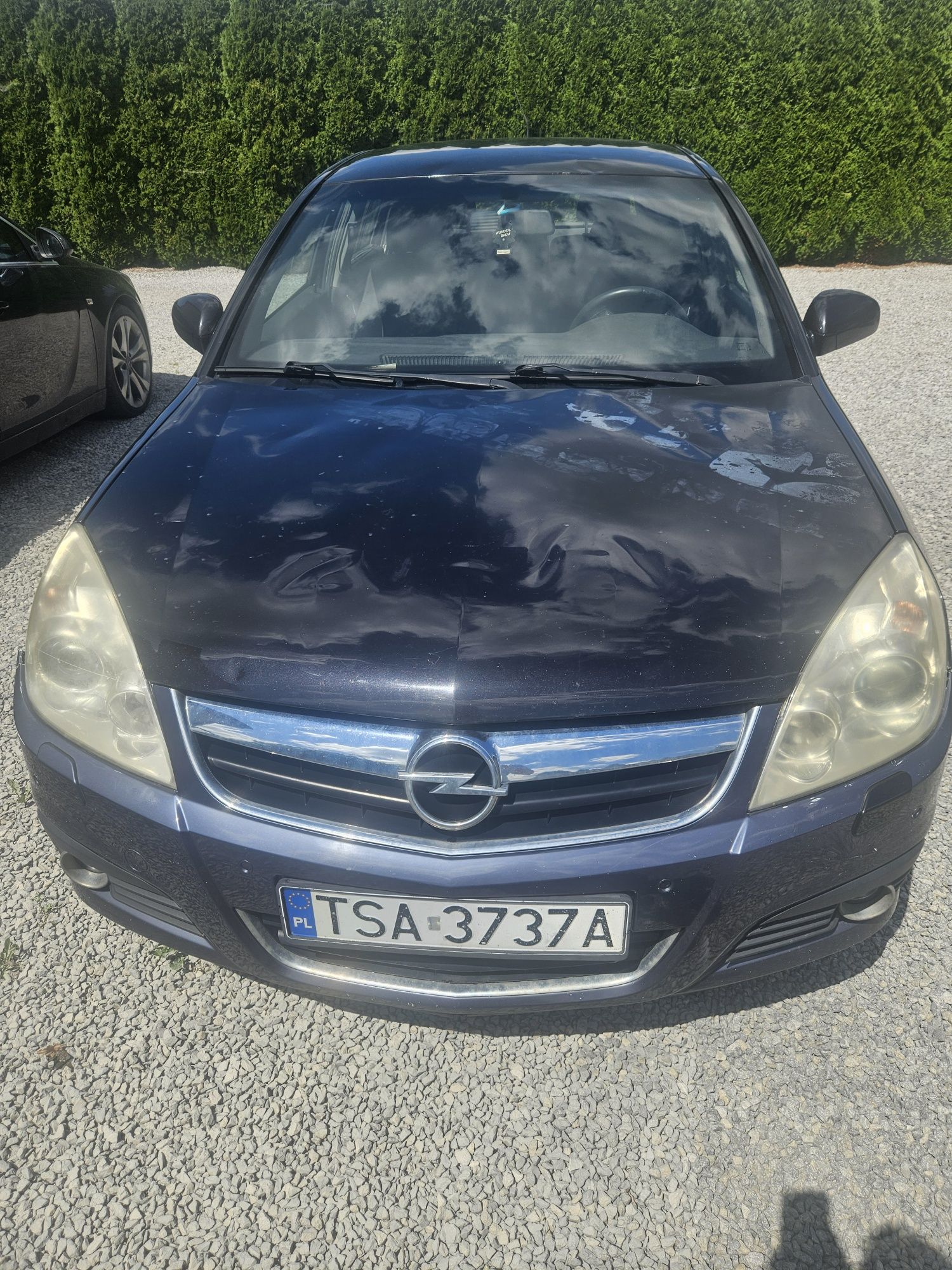 Opel signum 1.9 cdti