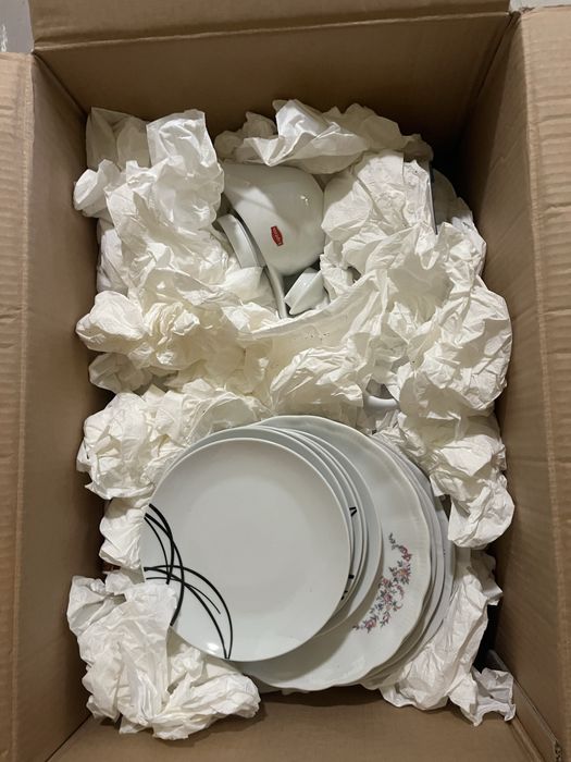 Talerze, kubki - oddam za darmo