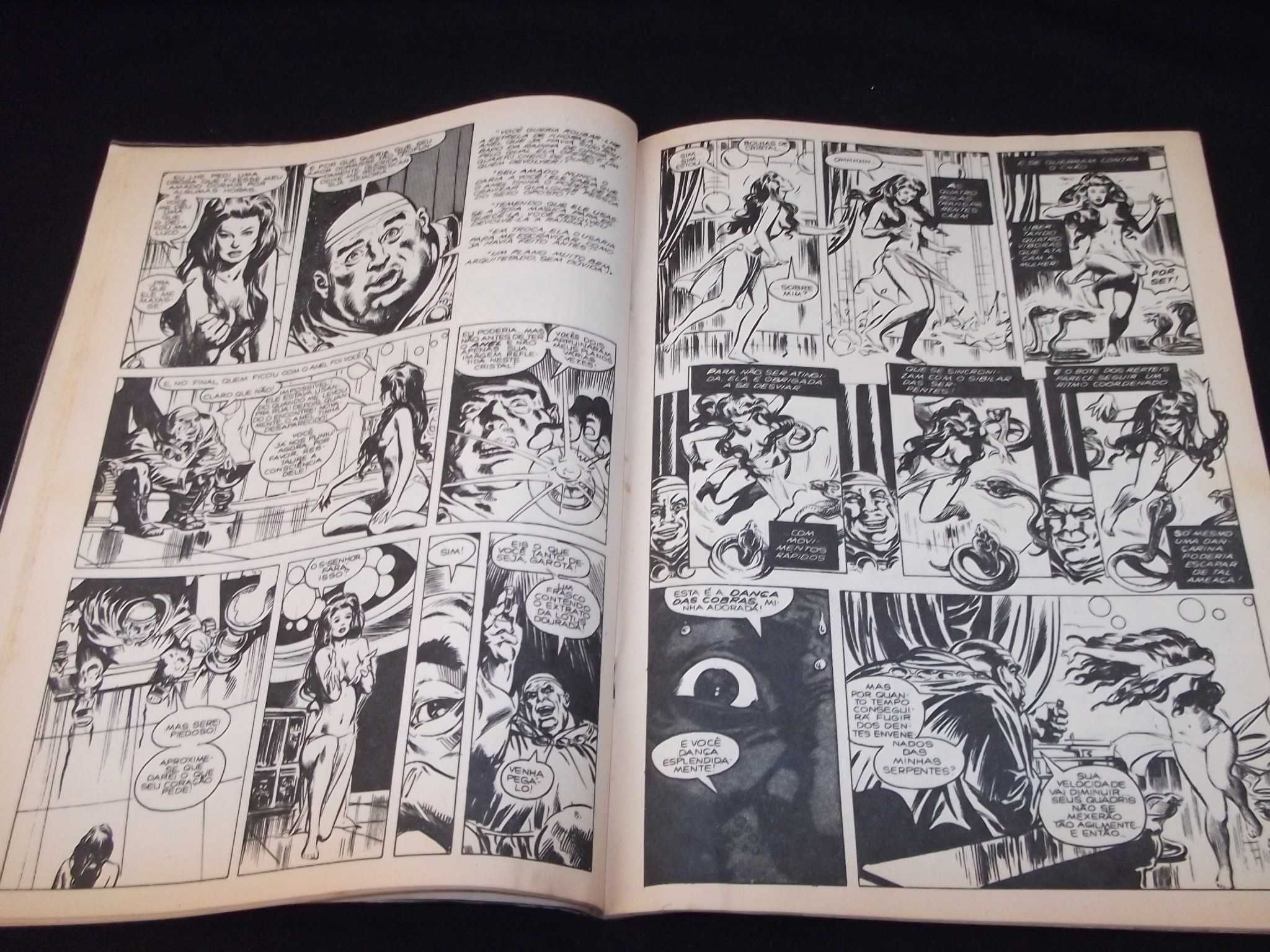 Livro BD A Espada Selvagem de Conan 8 Abril Marvel 1985