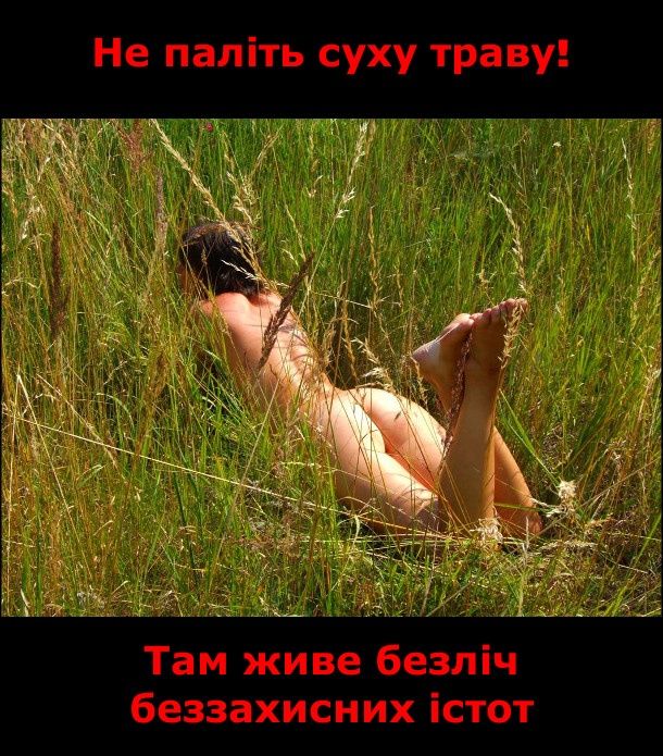 Покошу вашу дачу. Покос, Великодолинське, Чорноморськ +5км  по окрузі