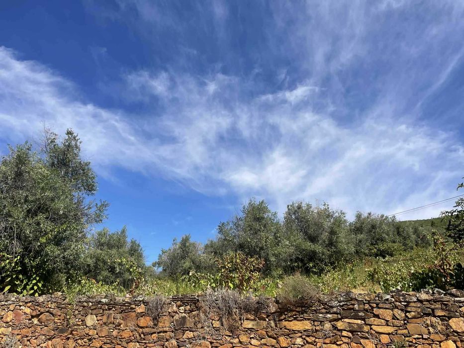 Monte/Herdade em pleno parque natural