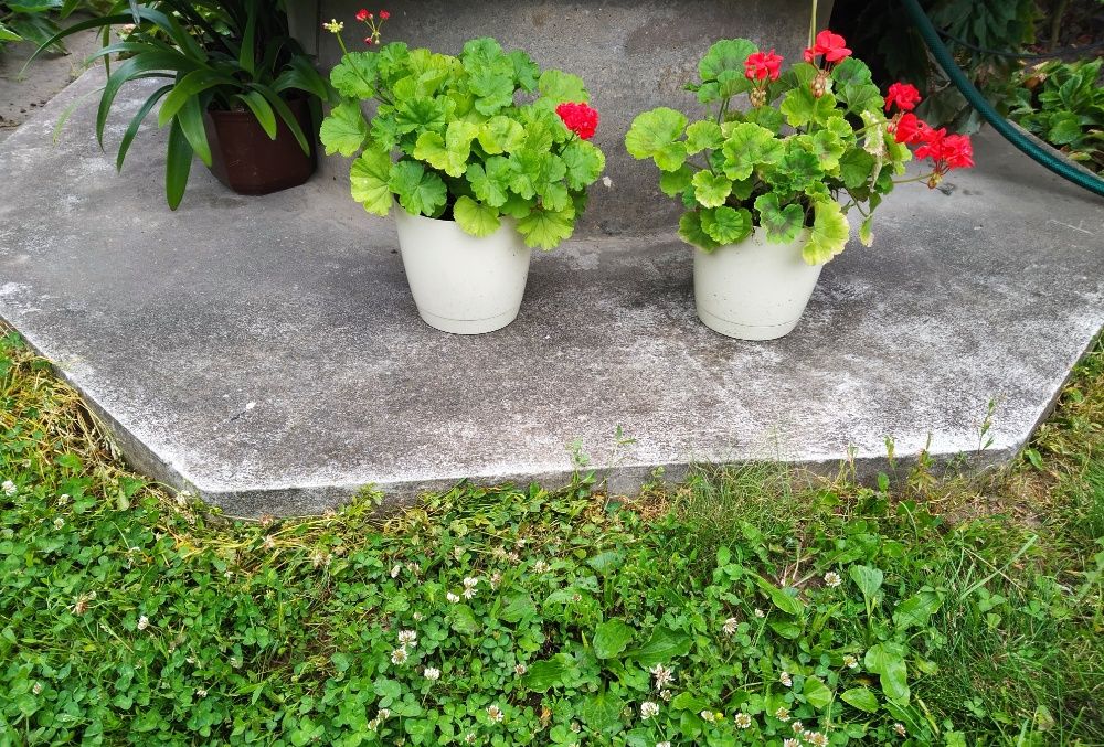 форма для заливки криниці