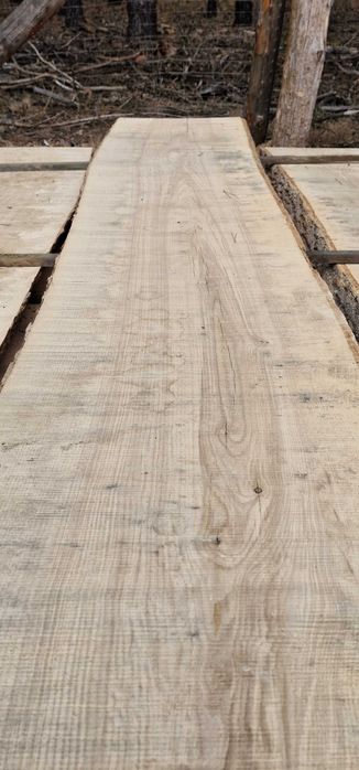 Tarcica dębowa i jesionowa 55 mm 2,4 m. Blaty i deski dębowe.